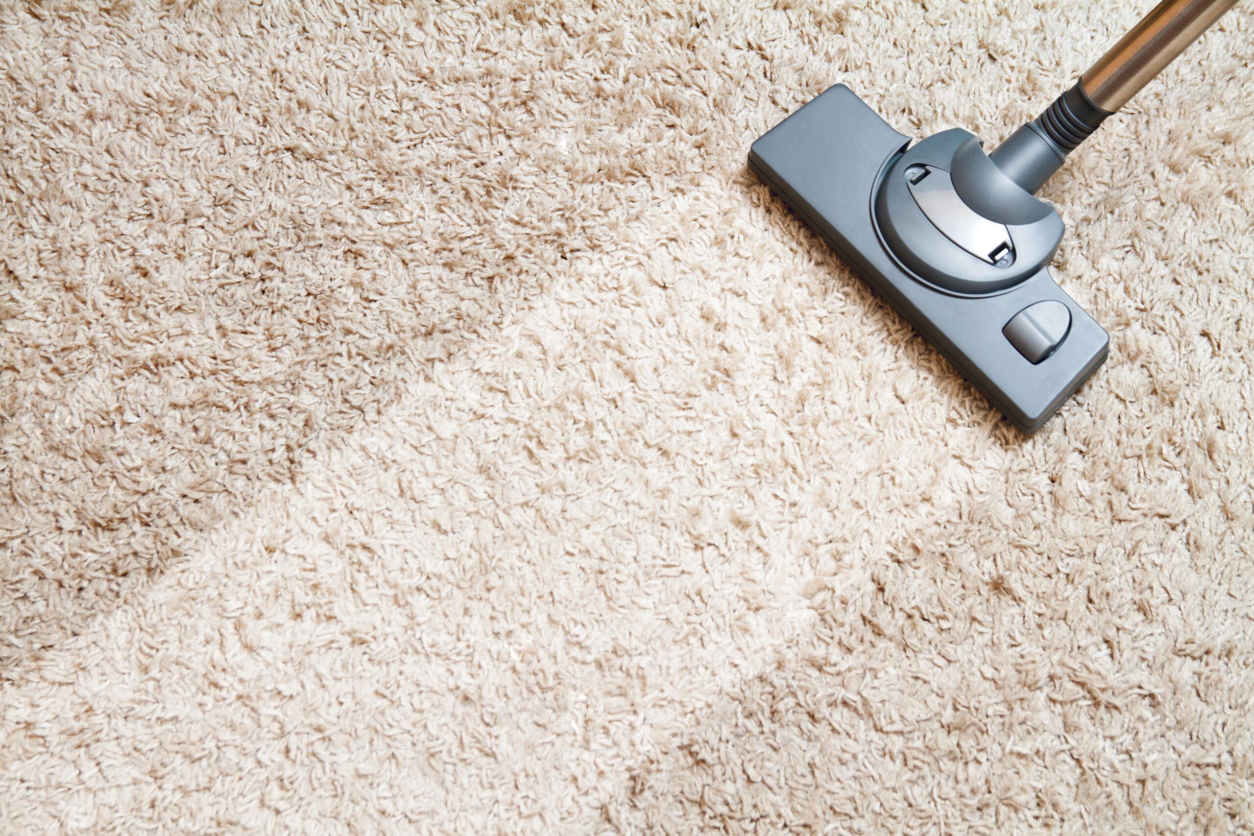 nettoyage tapis Gatineau